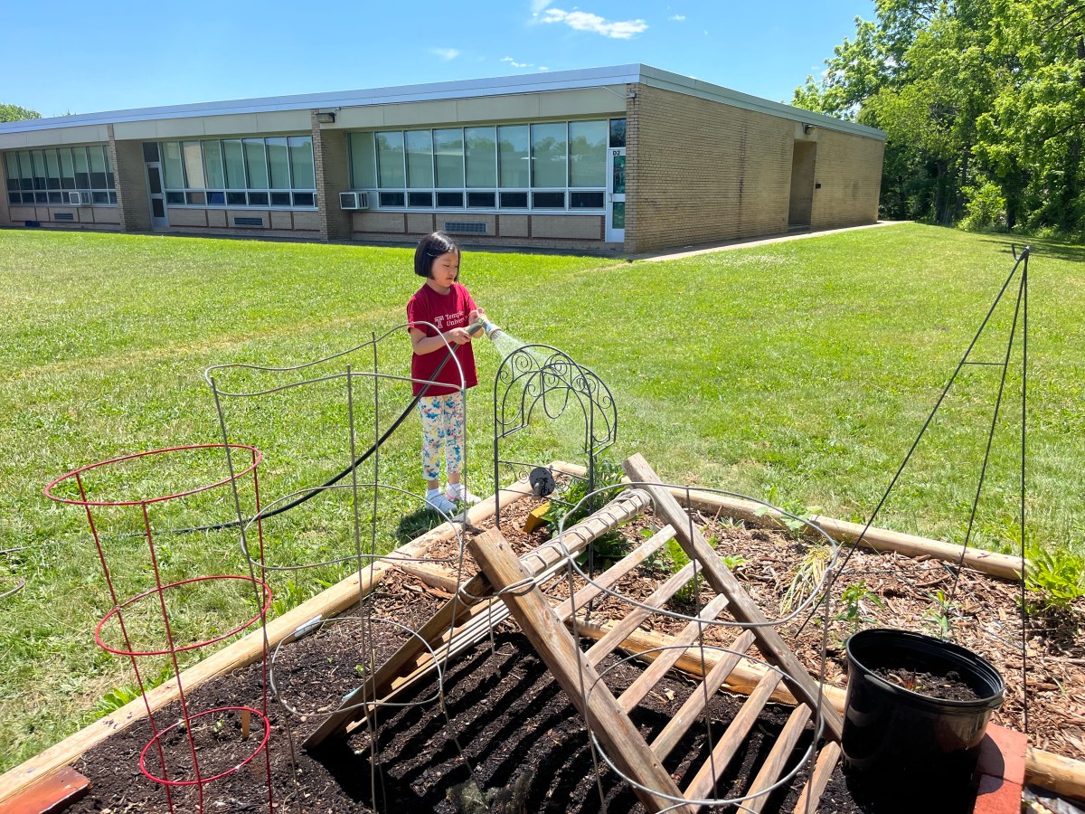 SUMMER SIGNUP – Volunteer to Water Food Garden 