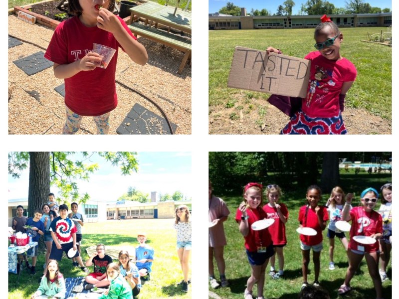 Salad Parties to Celebrate the Spring&nbsp;Harvest