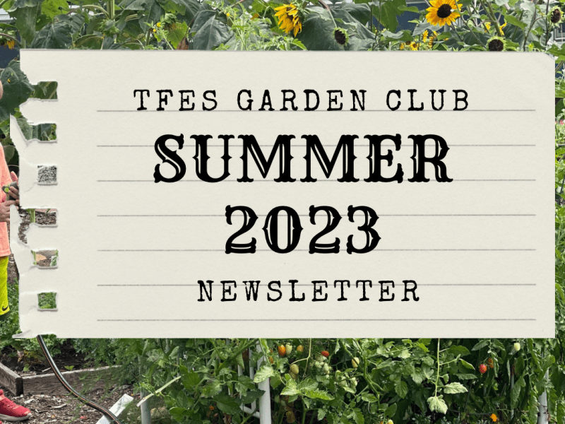 SUMMER 2023 NEWSLETTER