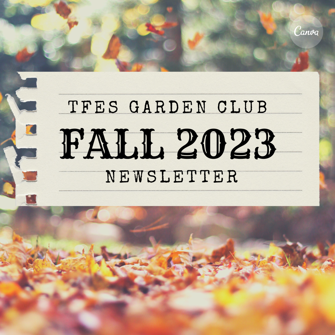 GARDEN CLUB – FALL 2023 NEWSLETTER – TFES GARDEN CLUB