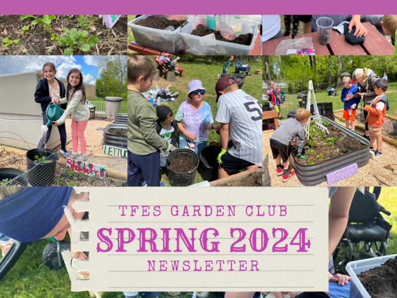 SPRING NEWS AND&nbsp;SCHEDULE