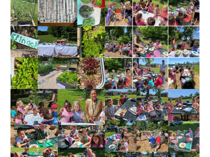 Salad Parties (K-2) Photos and&nbsp;Thanks!