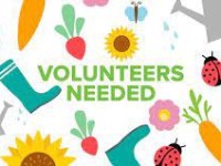 Summer 2024 Signup&nbsp;