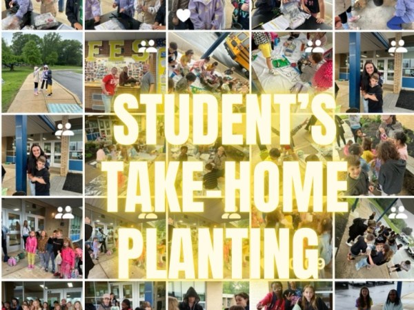 WE SENT HOME PLANTS – Here’s how to care for them &&nbsp;Photos!