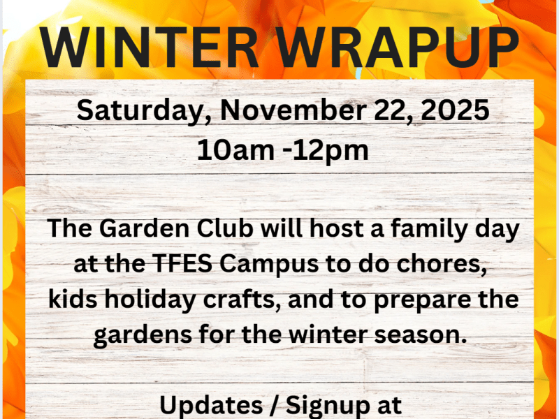 Nov 22nd Morning – Family Event 