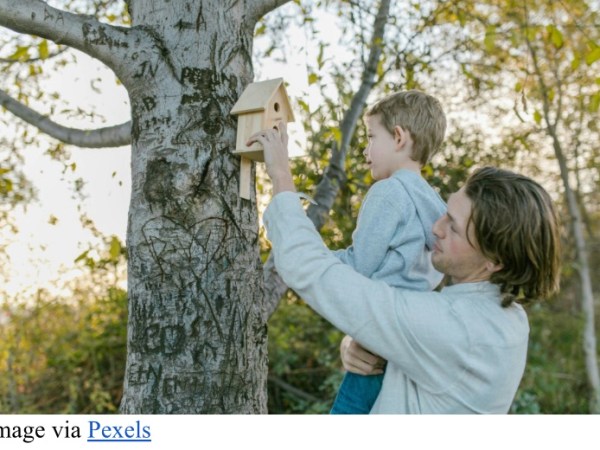 Nurturing Curiosity: How Parents Can Help Children Grow into Self-Motivated, Engaged&nbsp;Learners