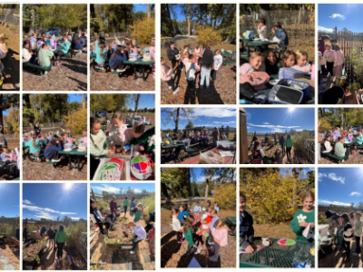 Kindergarten, 4th & 5th Grades’ Learn @Lunch: About Lesson &&nbsp;Photos