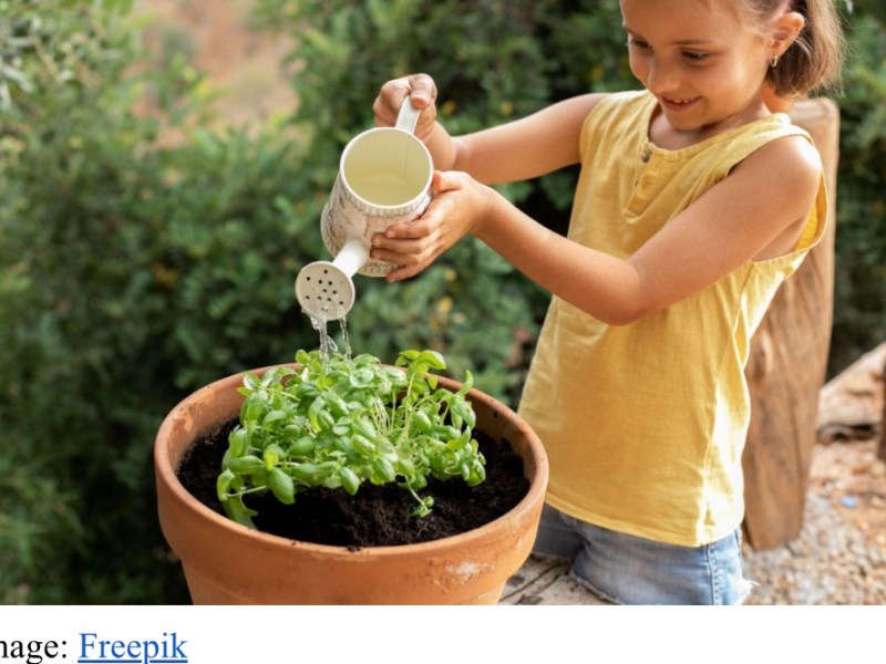 Roots of Wellness: Planting Lifelong Healthy Habits With Your&nbsp;Children