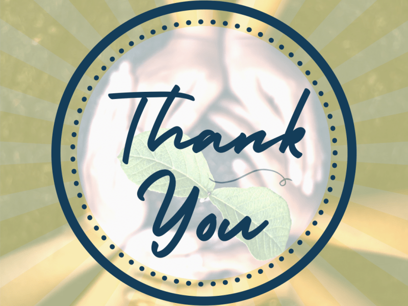 Thank You Supporters