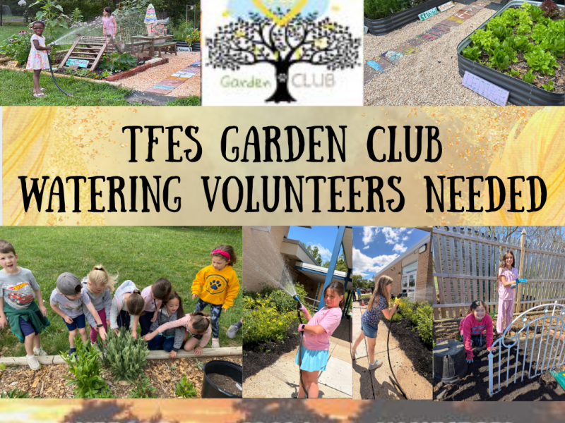 VOLUNTEER TO WATER the TFES&nbsp;Gardens